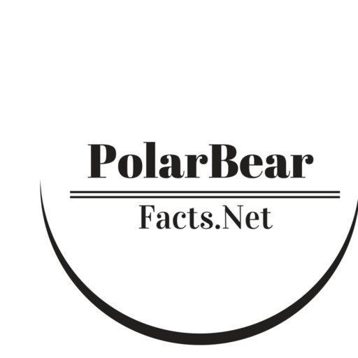 Polar Bear Facts