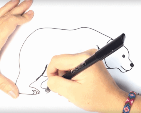 how to draw a polar bear for kids